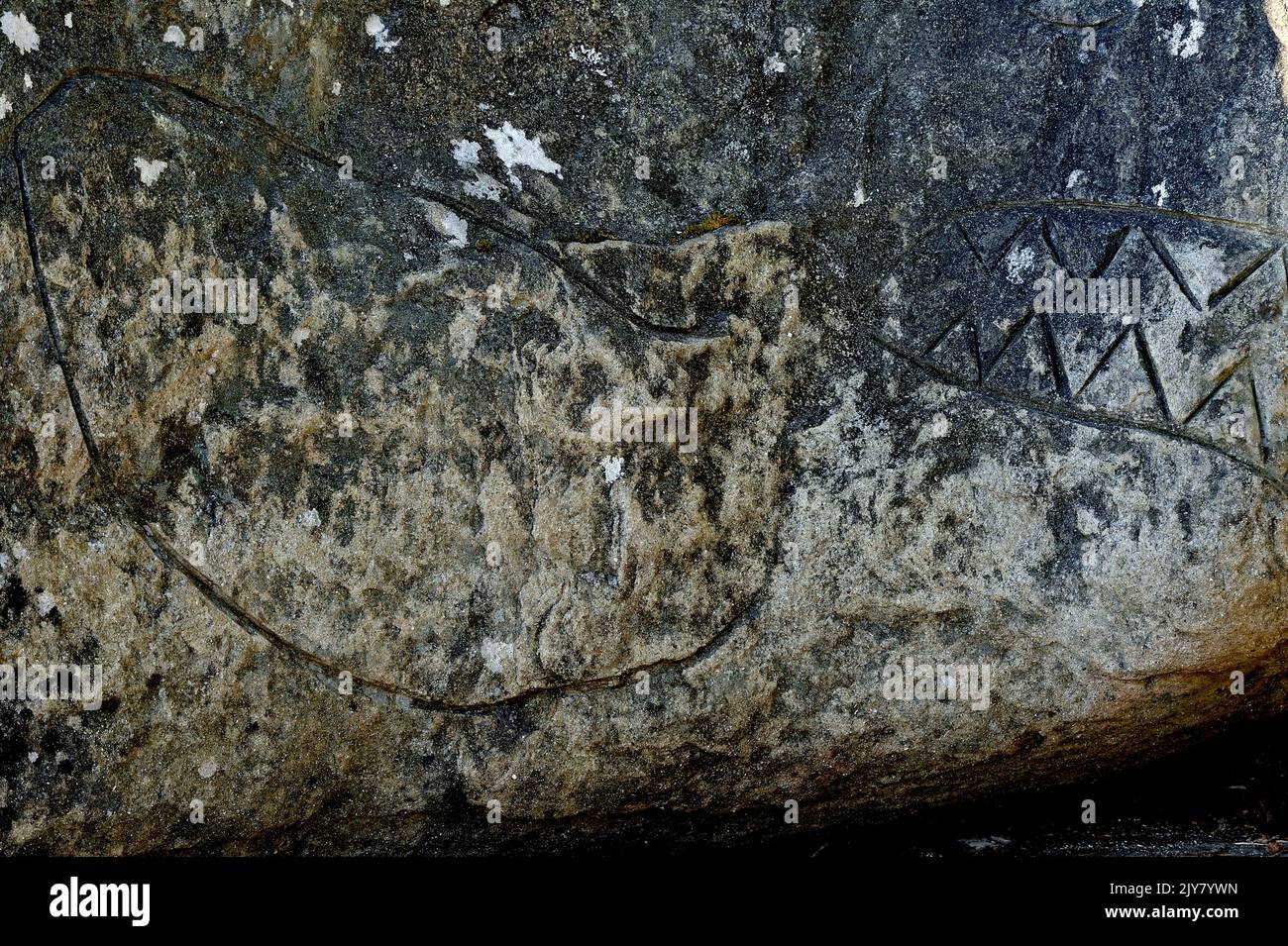 Uralte prähistorische Petroglyphe, die von den First Nations an der Küste von Vancouver Island British Columbia Canada geschnitzt wurde. Stockfoto