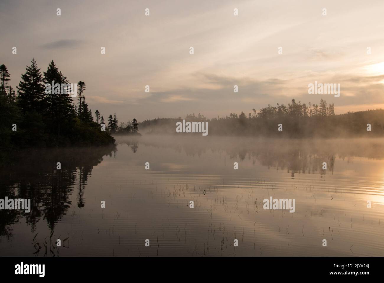 Ein Blick auf einen ruhigen See mit dem Nebel, der aus dem Wasser steigt. Die Sonne ist gerade rechts vom Rahmen zu sehen, teilweise bedeckt von Wolken Stockfoto
