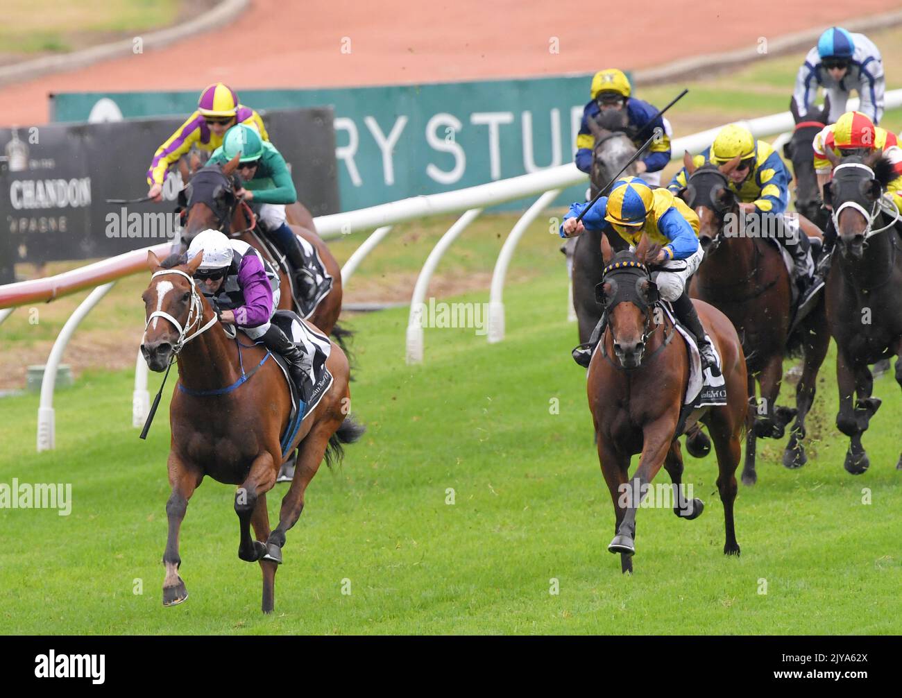 Jockey Brenton Avdulla (violett/weiße Kappe) reitet am Samstag, 18 ...
