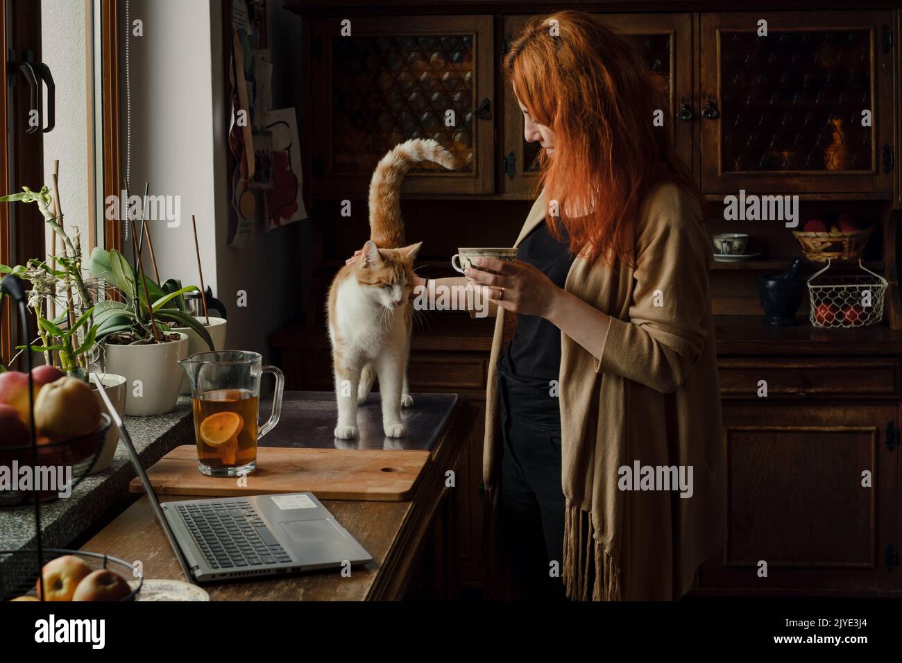 Frau trinkt Tee und streichelte Katze in der Küche. Gemütlicher Morgenalltag zu Hause. Niedliche Ingwer-Katze mit Besitzer auf dem Tisch. Vintage-Haus, stilvoll alt Stockfoto