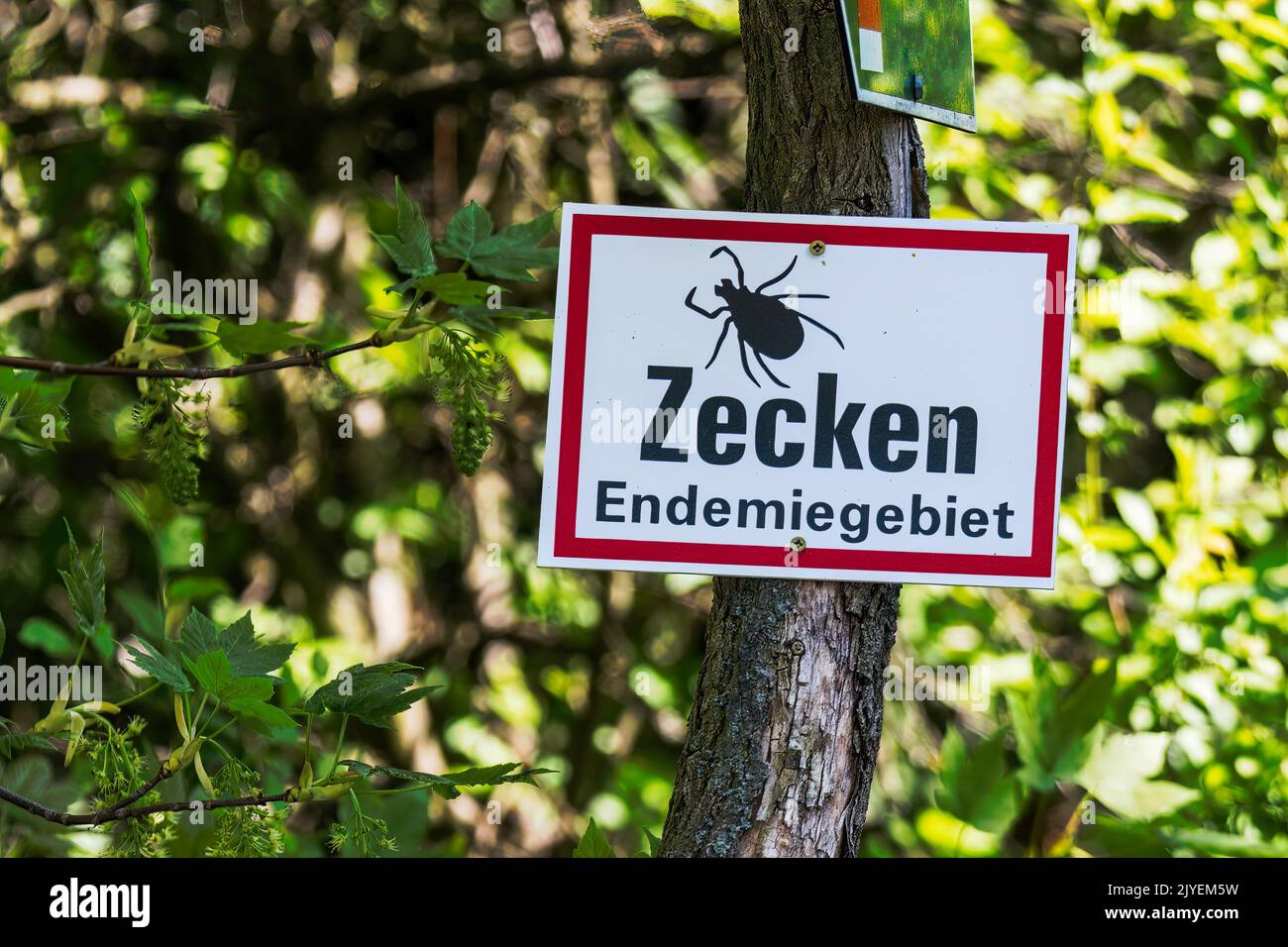 Schild mit deutscher Inschrift Zecken endemisches Gebiet und warnt vor Zecken Stockfoto