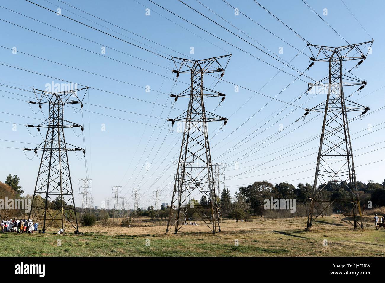 Mehrere elektrische Stromleitungen über Kopf durchqueren die städtische Grünfläche Stockfoto