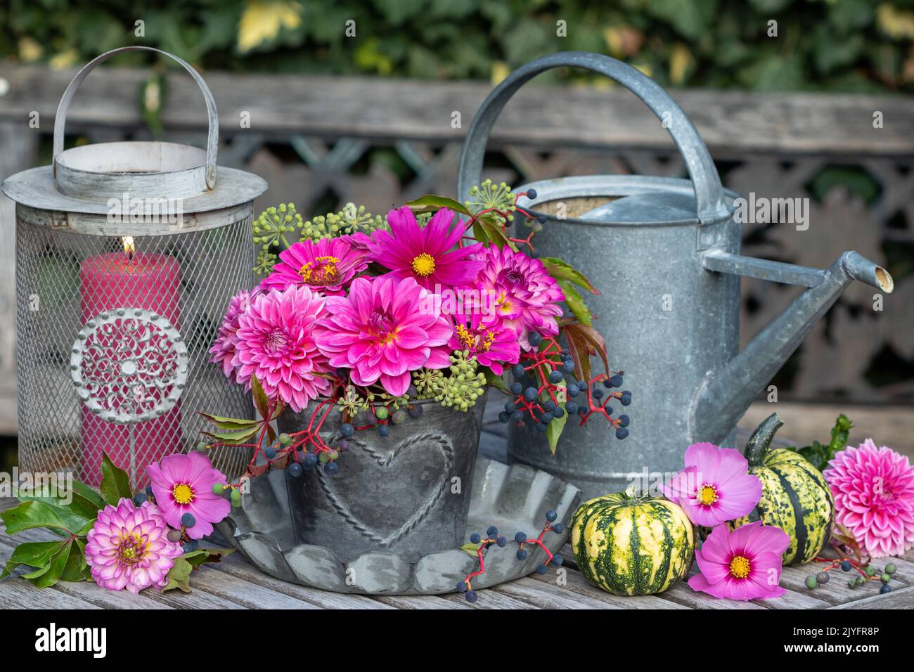 Arrangement mit Bouquet von rosa Dahlien, Zinnien und Kosmos Blumen in Zinktopf Stockfoto
