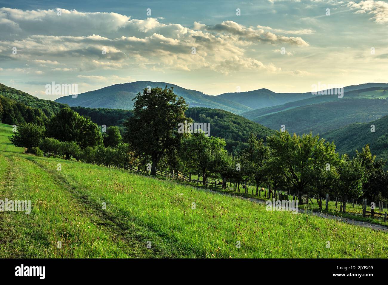 Sommer hügelige ländliche Landschaft mit Pfad in der Wiese. Mit einem Zaun und Bäumen. Wald und Hügel im Hintergrund. Wunderschöne Wolken. Dubrava, Slowakei. Stockfoto