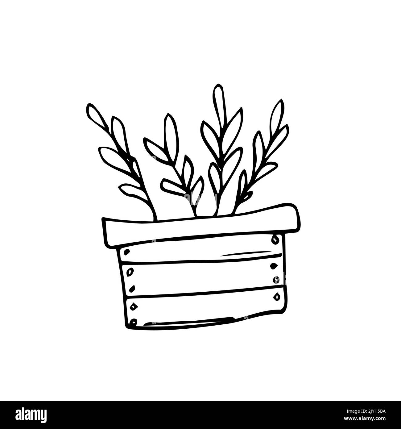 Holzkiste mit wachsenden Pflanzen. Pflanzvorgang. Home Gardening, Gartenbau Pflege für die Umwelt Konzept. Vektorgrafik im Cartoon-Stil. Stock Vektor