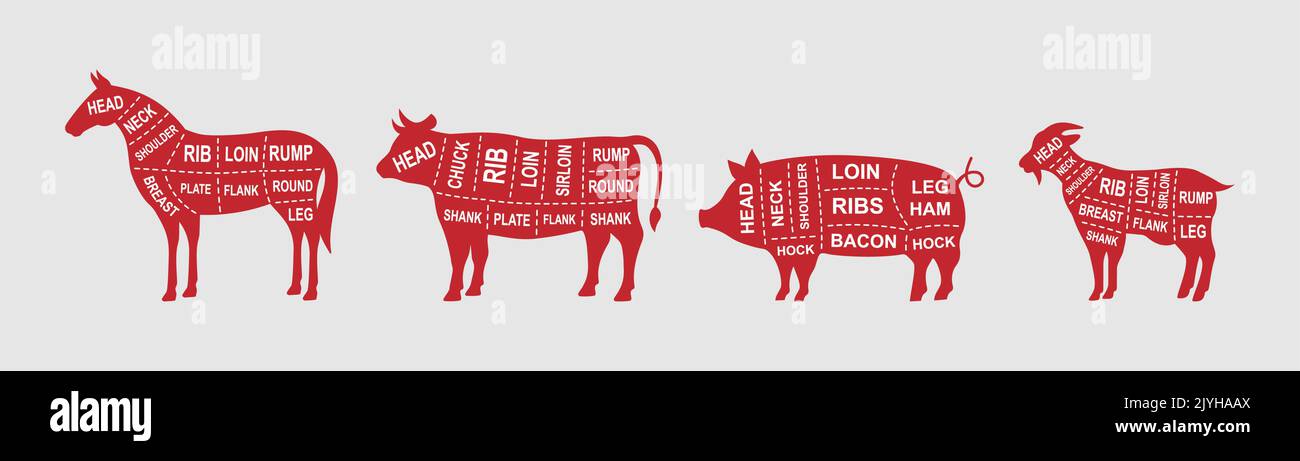Satz von Nutztieren Diagramm Schnitte. Poster mit Metzgerschemata. Schwein, Pferd, Ziege, Kuh Aufschnitt. Abbildung des Fleisch-Diagramms. Silhouette von Nutztieren Stock Vektor