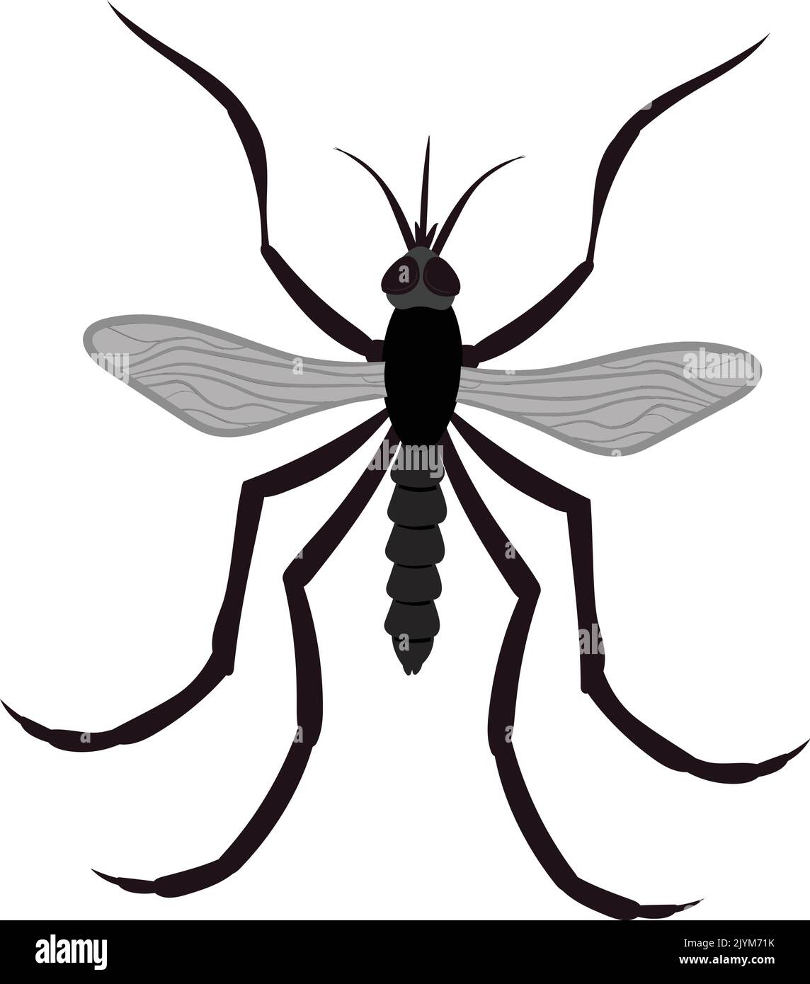 Realistische Illustration von Moskito oder Little Fly. Stock Vektor