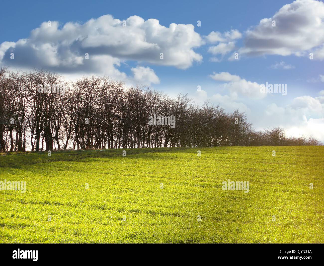 Die Schönheit des Herbstes. Wald und Landschaft in den Farben des Herbstes. Stockfoto
