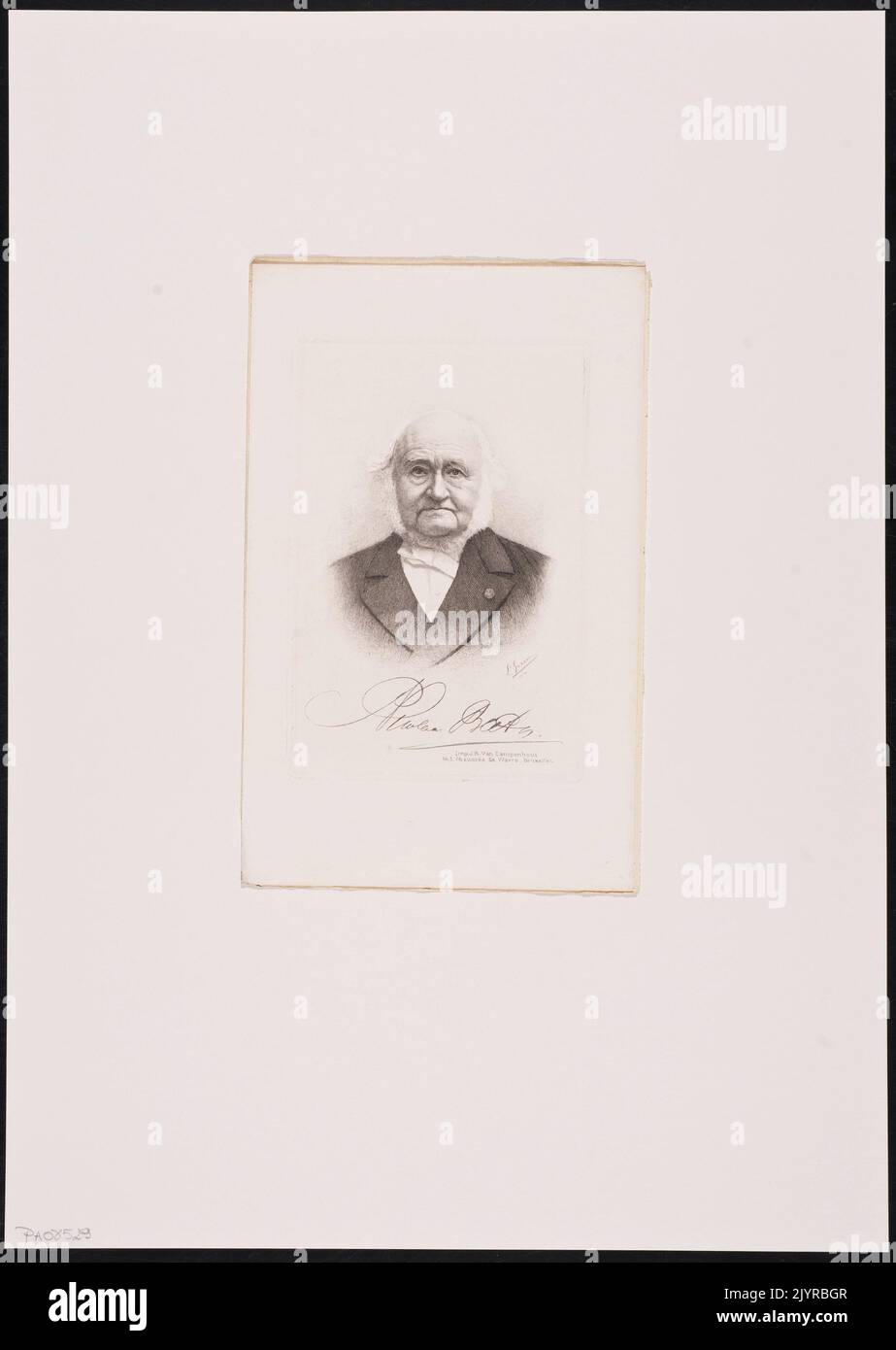 Nicolaas Rüben Stockfoto