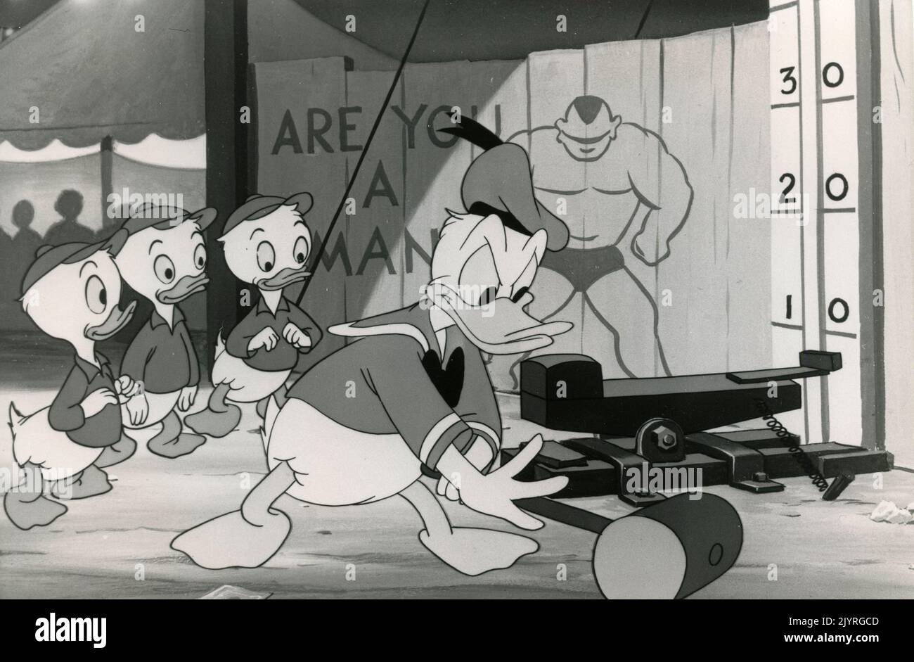Szene aus dem Animationsfilm Donald Duck and his Companions, USA 1960 Stockfoto