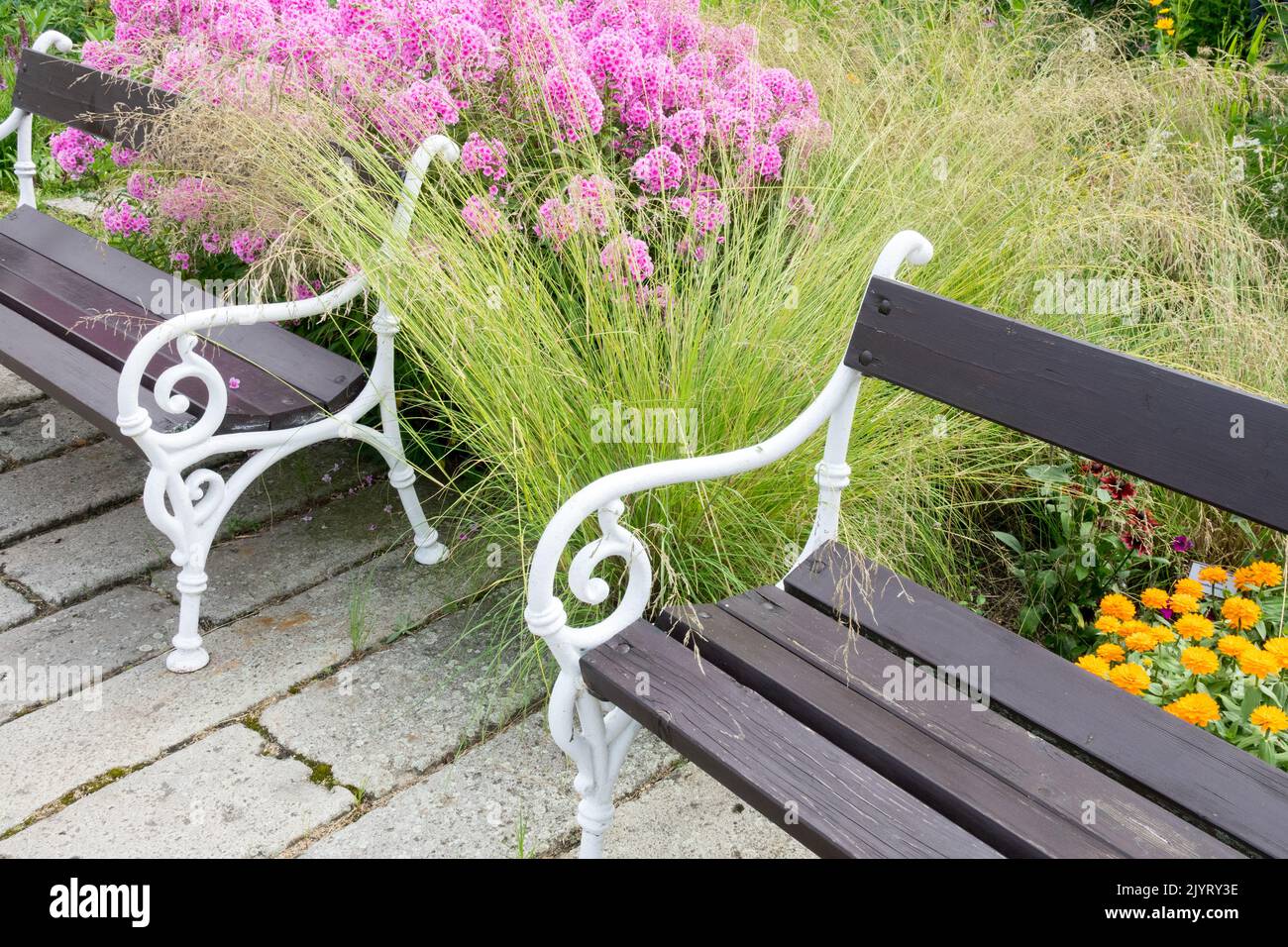 Relax Platz Garten Rosa Blumen, Garten Phlox, zwei Bänke im Garten, friedlich, Platz krautigen Grenze Sitz Stockfoto