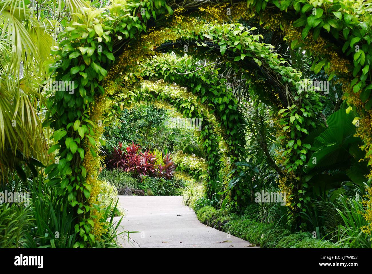 Singapur, 11. juni 2022. Gartenallee nationaler Orchideengarten singapur Stockfoto