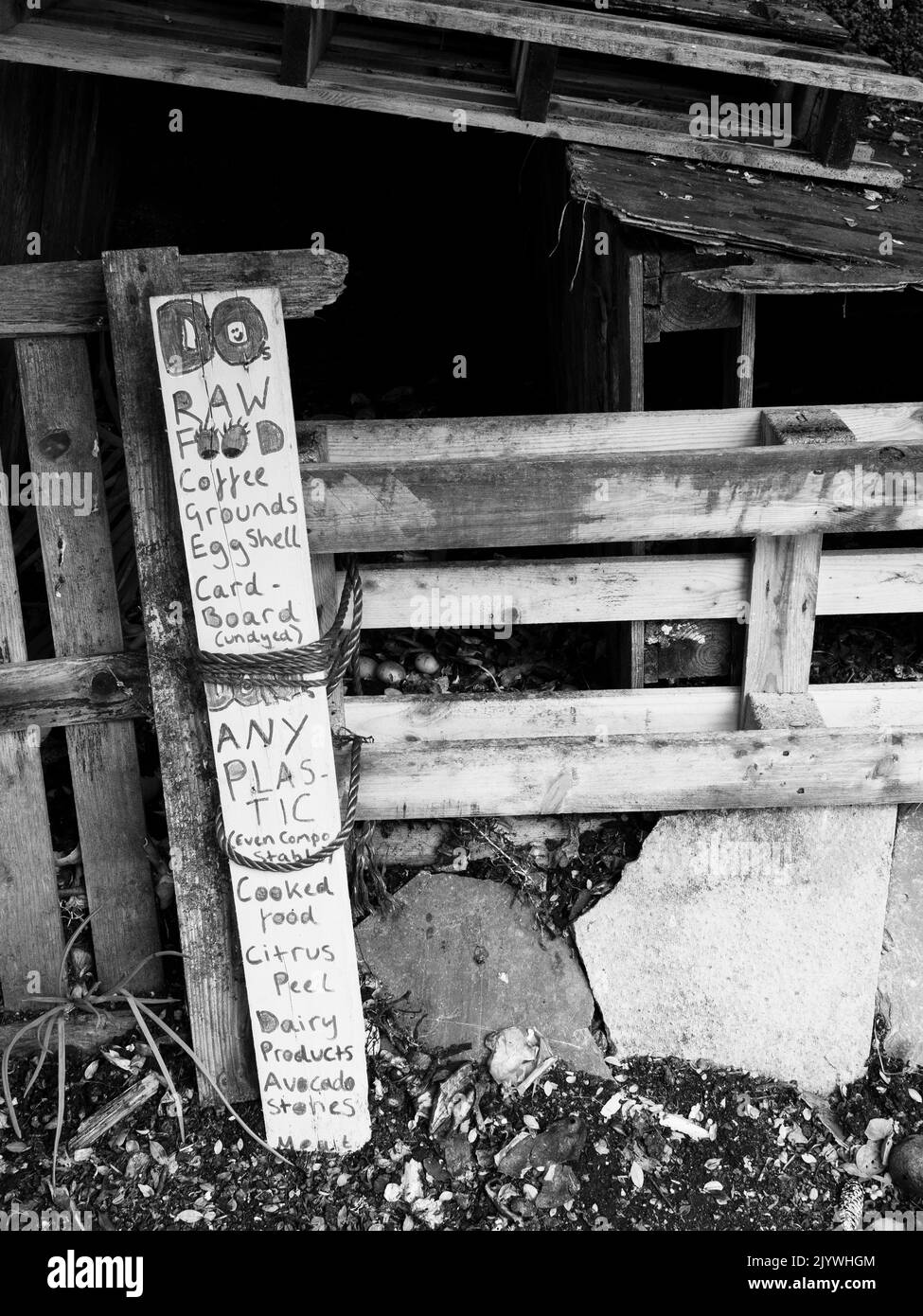 Schwarzweiß, Rohkost-Kompost, Falmouth University Garden, Penryn Campus, Falmouth, Cornwall, England, Großbritannien, GB. Stockfoto