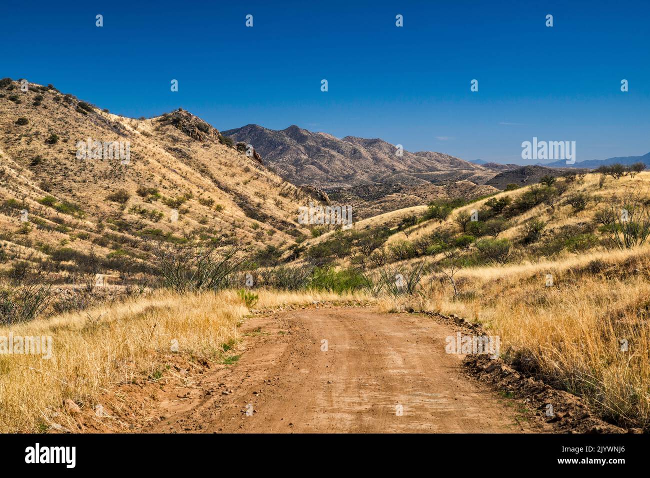 Patagonia Mountains, Fernsicht von der Salero Canyon Road (Forest Road 143), Santa Rita Mountains, Coronado National Forest, Arizona, USA Stockfoto