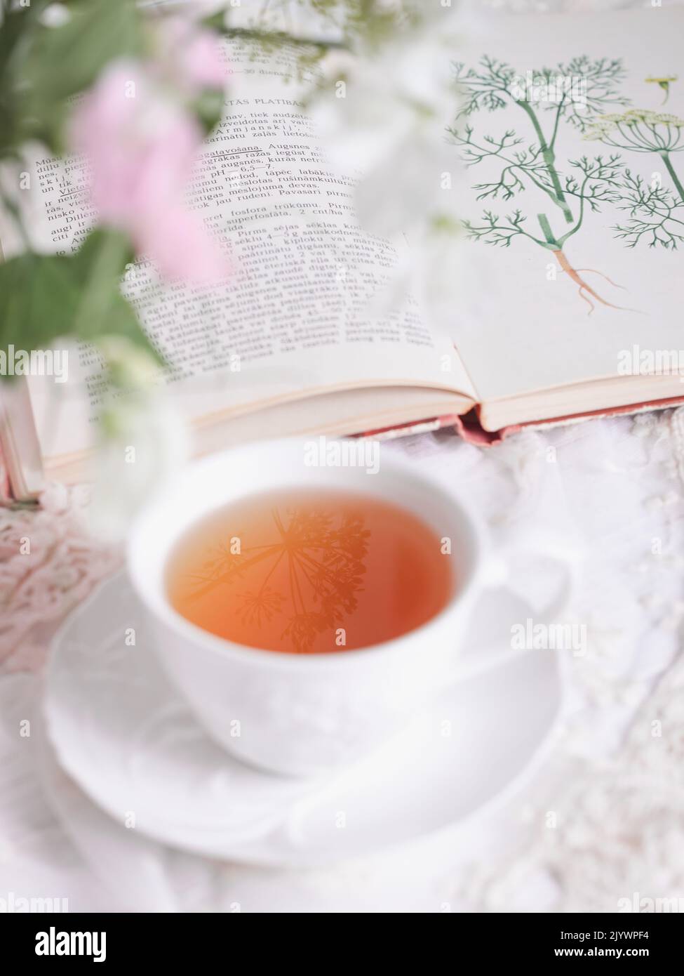 Eine weiße Tasse Tee zu einem offenen Buch Stockfoto