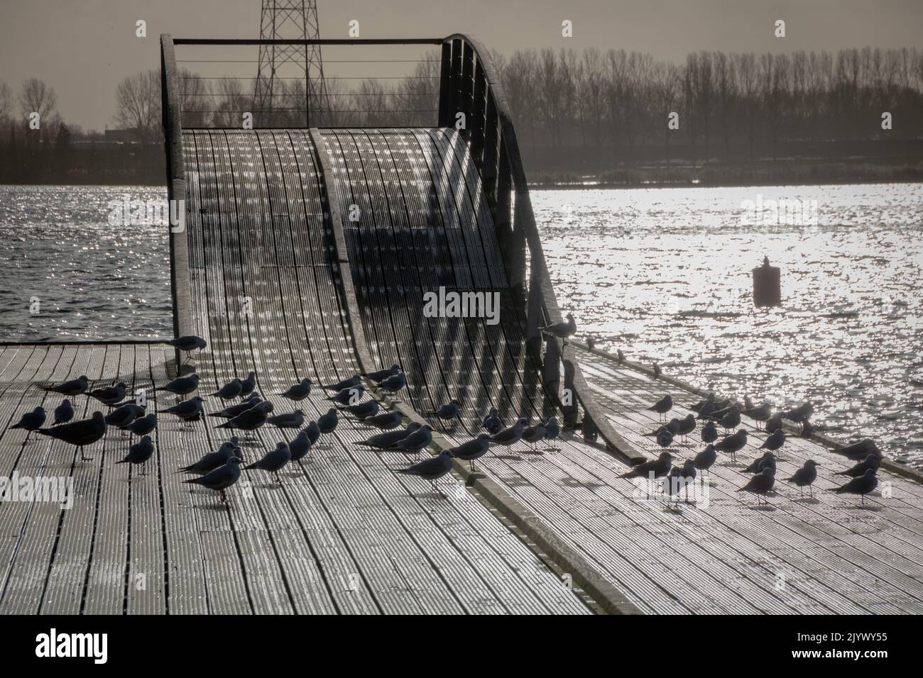 Stürmische Wolken über einem Pier mit schwarzen Vögeln und dunklem See Stockfoto