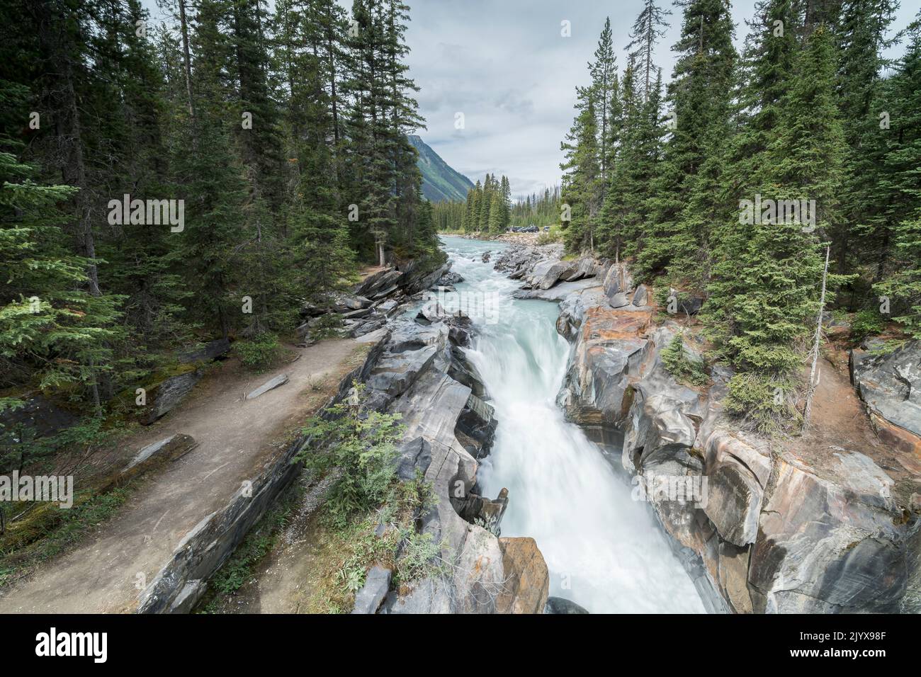 NUMA Falls, nahe Banff, Alberta, Kanada, 29. August 2022 Stockfoto