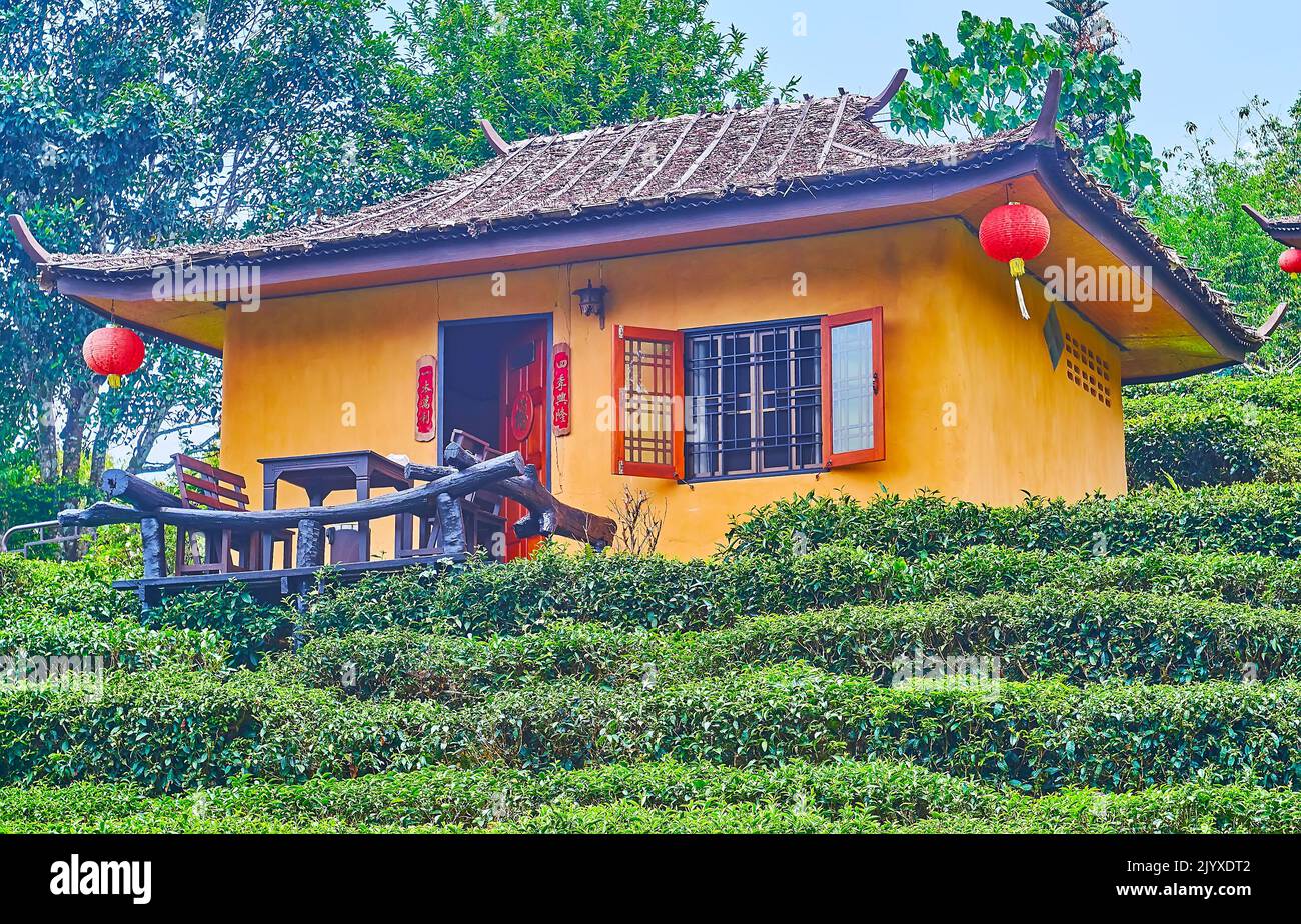 Die Fassade des kleinen schönen traditionellen chinesischen Hauses mit roten Laternen und geschwungenen Dach, umgeben von Teesträuchern, Ban Rak Thai Yunnan Tee V Stockfoto