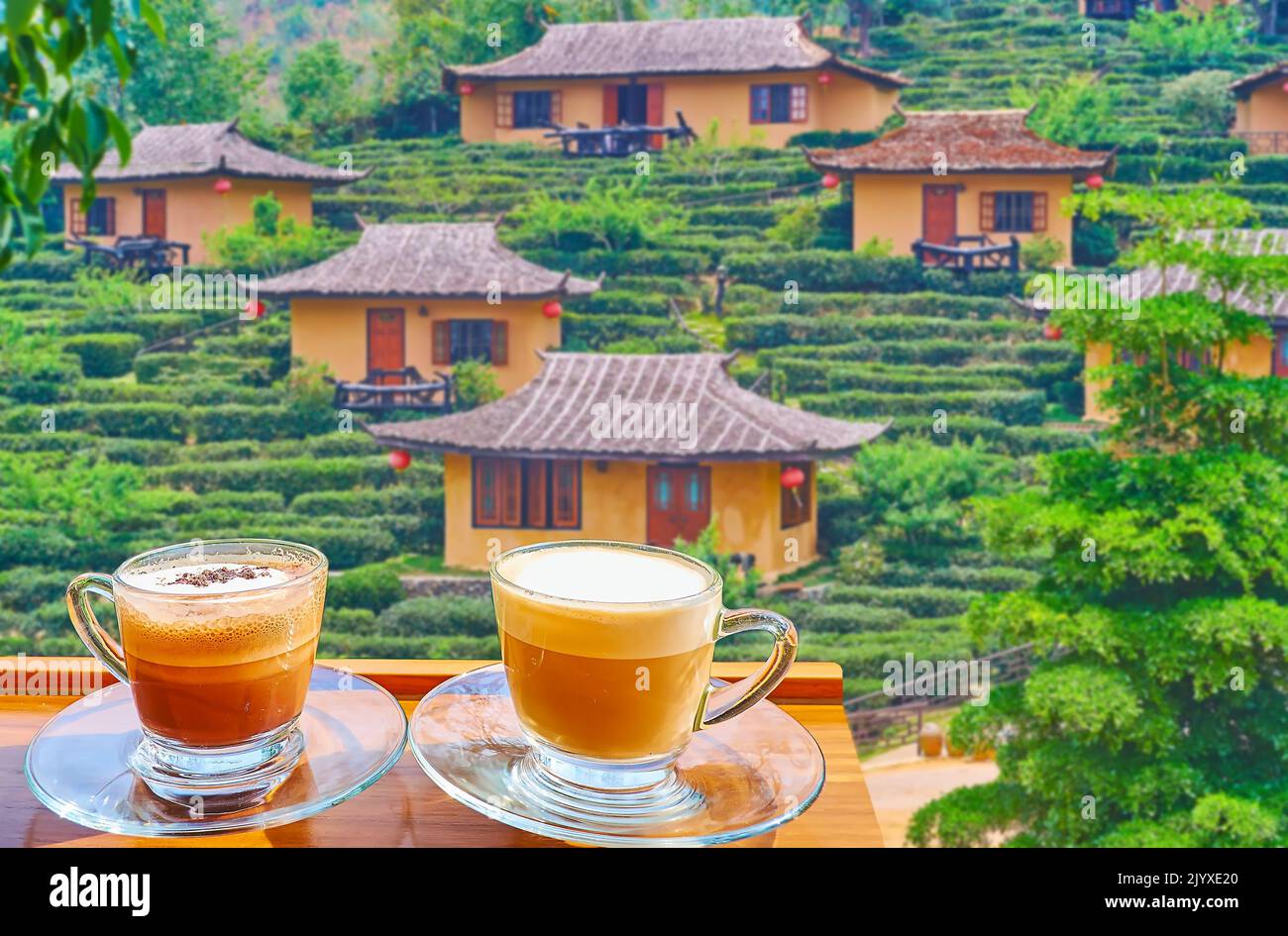 Genießen Sie den heißen Cappuccino mit Blick auf die chinesischen Häuser, umgeben von grünen Teesträuchern der Plantage, Ban Rak Thai Yunnan Teeldorf, Thailand Stockfoto