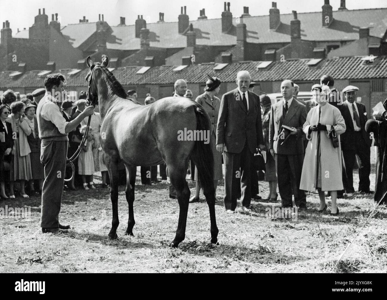 Aktenfoto vom 7/9/1955 von Königin Elizabeth II., die an den jährlichen Jahresverkäufen bei Doncaster teilnahm. Neben der Queen steht Herr Wickham-Boynton, Besitzer des Burton Agnes Gestüts in der Nähe von Beverley, Yorkshire. Pferde, wie Hunde, waren die lebenslange Liebe der Königin und sie hatte ein unglaubliches Wissen über Zucht und Blutslinien. Ob es nun Vollblutrennen oder Ponys waren, sie zeigte ein unfehlbare Interesse. Ausgabedatum: Donnerstag, 8. September 2022. Stockfoto