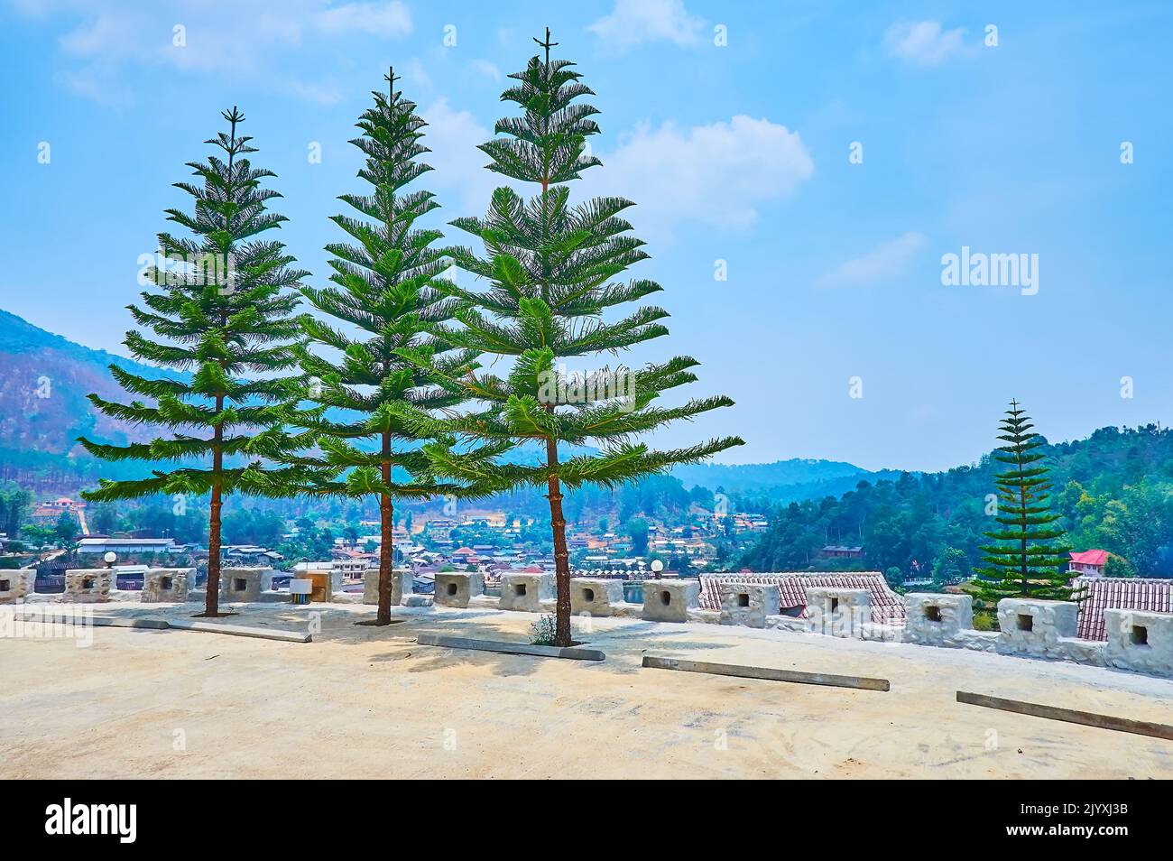 Die Aussichtsterrasse auf dem Hügel im Ban Rak Thai (Mae Aw) Teeldorf mit drei hohen Norfolk Island Pines gegen die Berglandschaft, Thailand Stockfoto