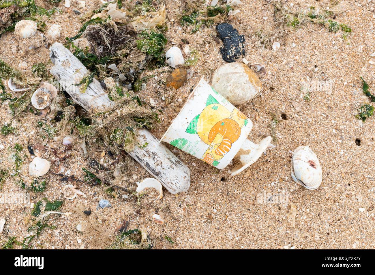 Plastikverschmutzung großbritannien - Einweg-Plastikverpackungen für Lebensmittel am Strand gewaschen - jahrzehntelanger 'Dessert Farm Joghurt' Topf am Strand gefunden im Jahr 2022 - England, Stockfoto