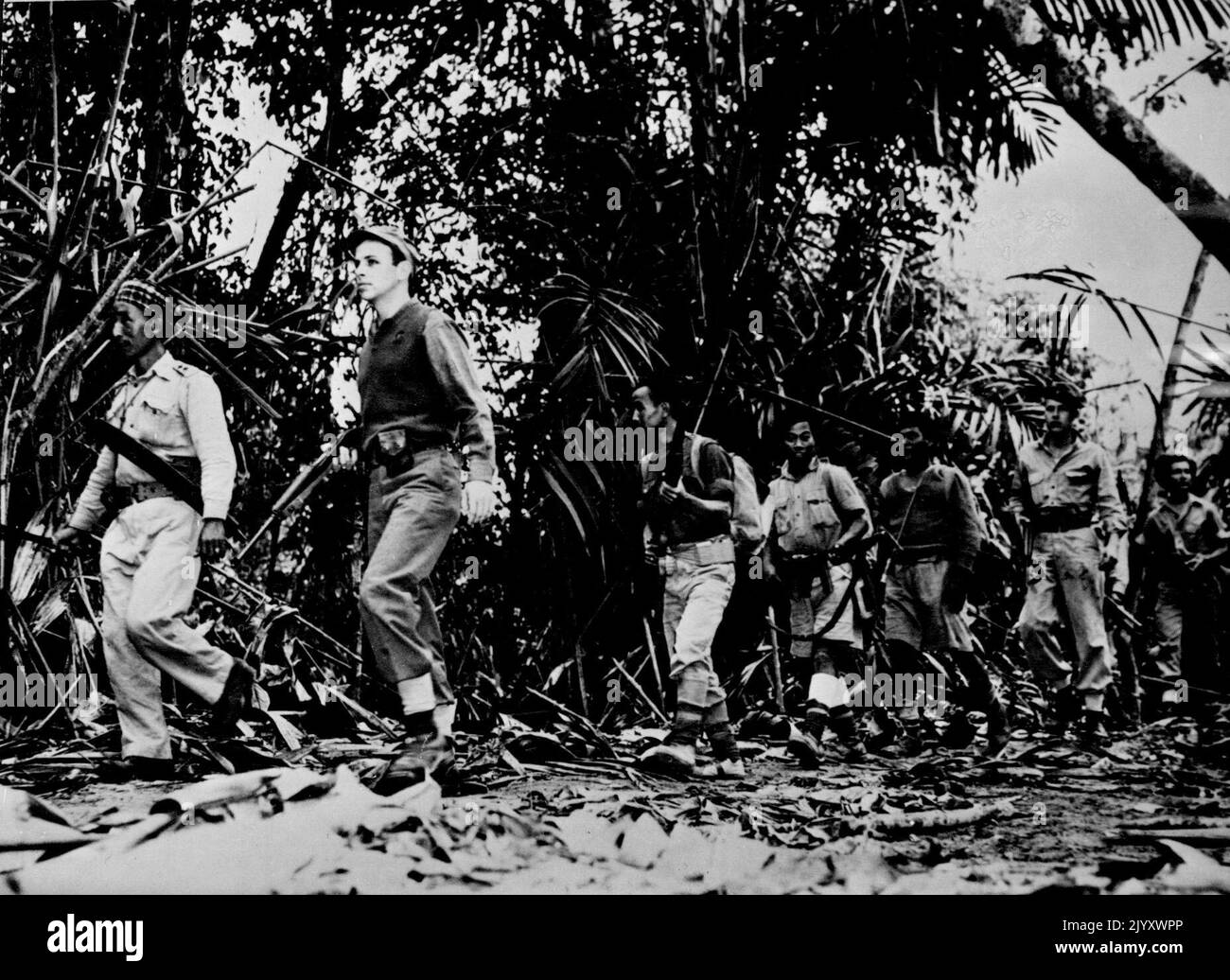U. S. Offizier führt Pfadfinder im Burma-Dschungel -- in der Warnung vor japanischen Scharfschützen wird eine Patrouille von US-Soldaten und burmesischen Patriot-Kämpfern, Mitgliedern einer Pfadfindereinheit der Alliierten 14.-Armee, von einem US-Armeeoffizier über einen Dschungelpfad in Nord-Burma geführt. Amerikanische, britische und chinesische Soldaten und burmesische Patrioten bilden die Pfadfindertruppen, die japanische Ziele lokalisieren, über feindliche Bewegungen berichten und als Führer für alliierte Truppen im Feldzug gegen die Japaner im Norden Burmas dienen. 06. April 1944. Stockfoto