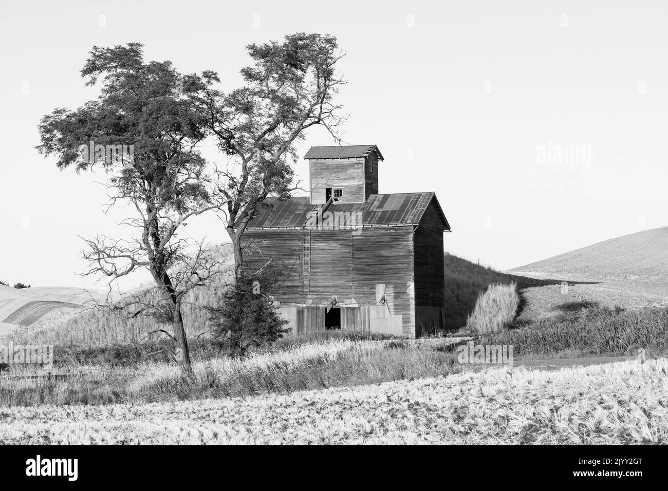 USA, Washington State, Whitman County. Palouse. Colfax. Altes Getreidesilo und Scheune entlang der Filan Road. Stockfoto