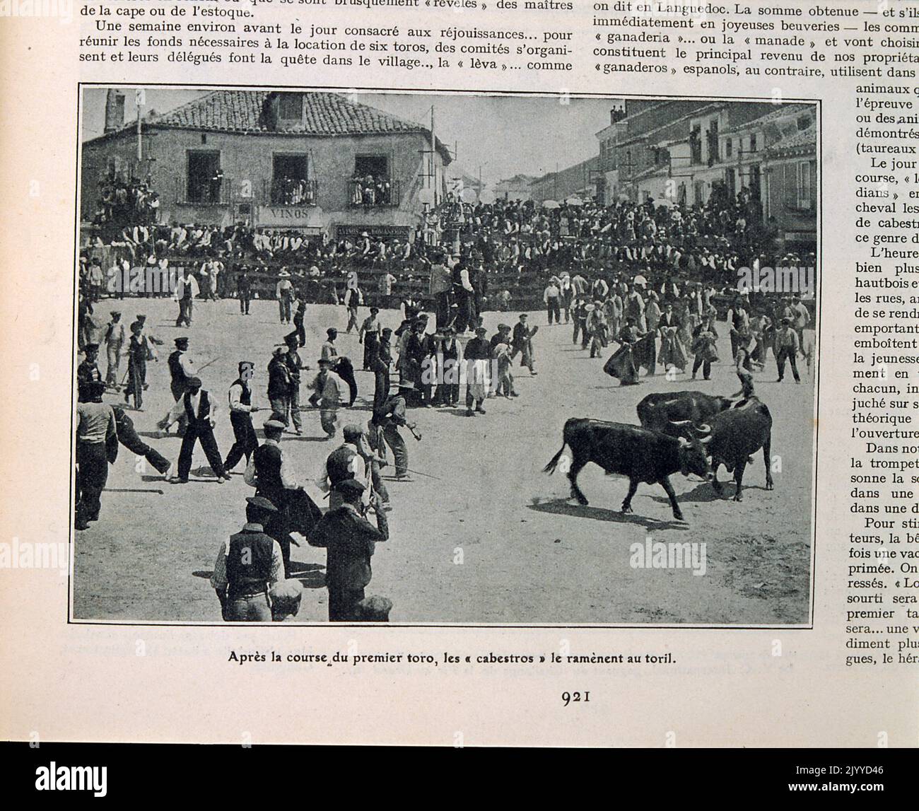 Aus dem Magazin La Vie au Grand Air (Leben im Freien); Schwarz-Weiß-Foto der Bullenjagd. Stockfoto