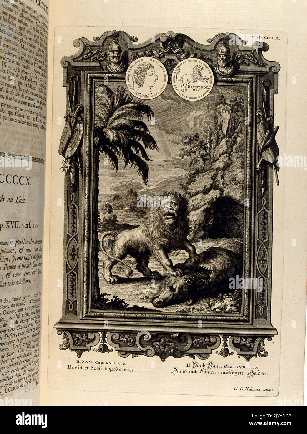 Gravur mit einem Löwen, der ein Wildschwein verschlingt. Die Illustration ist in einem kunstvollen Rahmen gesetzt. Stockfoto