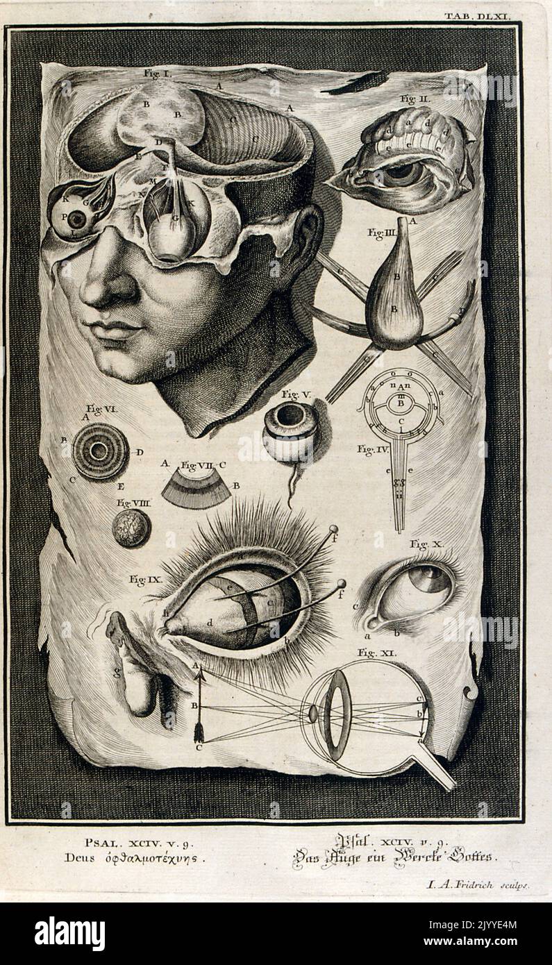 Gravur, die die Anatomie des menschlichen Augenballs darstellt. Die Illustration ist in einem kunstvollen Rahmen gesetzt. Stockfoto