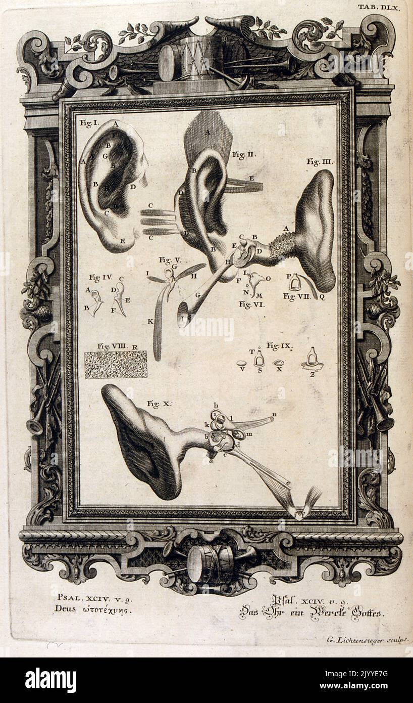 Gravur mit Diagrammen der Anatomie des menschlichen Ohres. Die Illustration ist in einem kunstvollen Rahmen gesetzt. Stockfoto