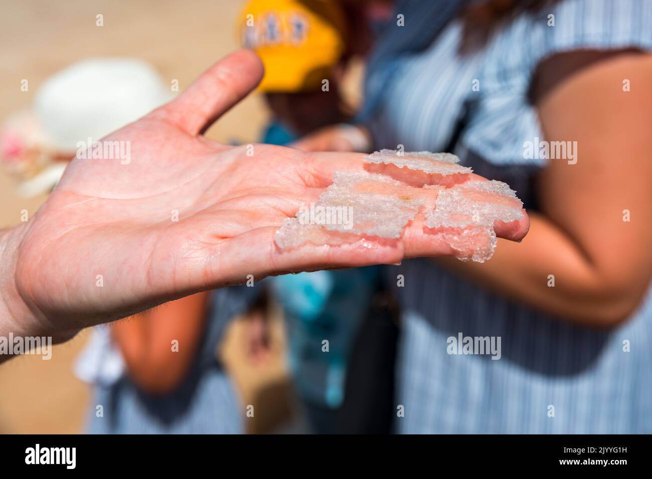 Salzblume, ist ein Salz, das sich als dünne, zarte Kruste auf der Oberfläche des Meerwassers in der Hand einer Frau bildet, frisch aus dem Salzfiel gesammelt Stockfoto