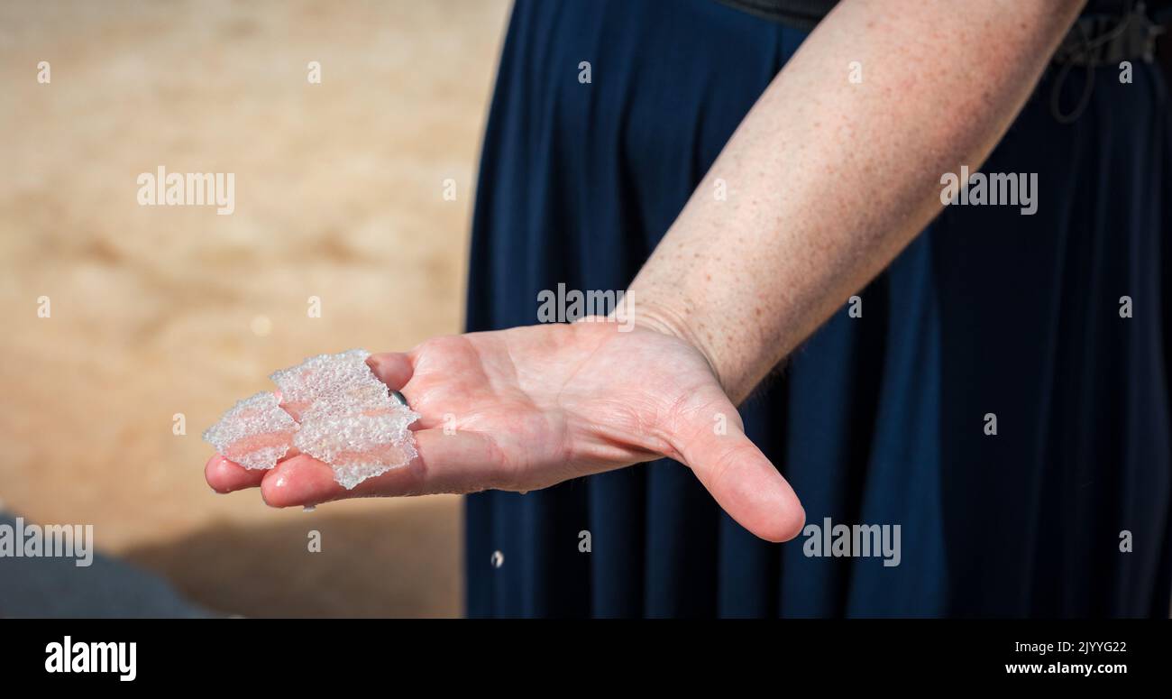 Salzblume, ist ein Salz, das sich als dünne, zarte Kruste auf der Oberfläche des Meerwassers in der Hand einer Frau bildet, frisch aus dem Salzfiel gesammelt Stockfoto