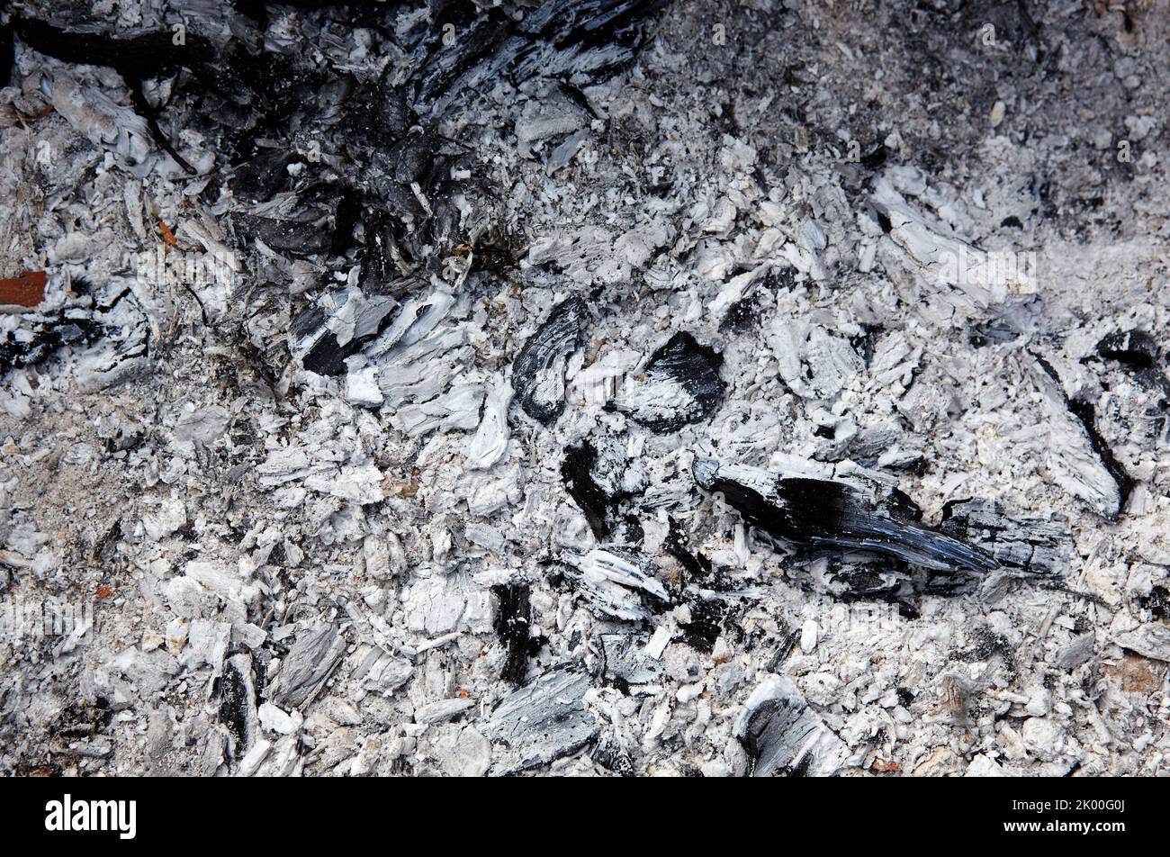 Schwelende Holzkohle in einem Grill. Vereinzelte Stücke Glut im Herd gemischt mit Asche. Asche nach dem Essen im Freien vorzubereiten Stockfoto