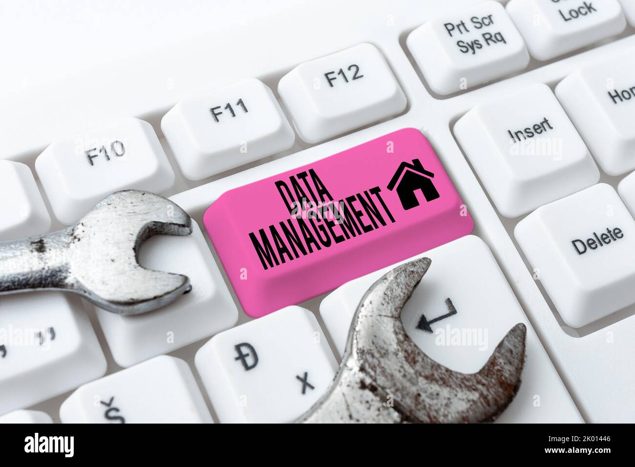 Konzeptunterschrift DatenmanagementDie Praxis der Organisation und Pflege von Datenprozessen. Wort geschrieben über die Praxis der Organisation und Stockfoto