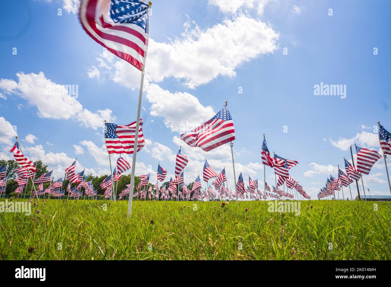 Eine Gruppe von Dutzenden von amerikanischen Sternen, die in den USA in einem grünen Feld mit blauem Himmel und Wolken winken Stockfoto