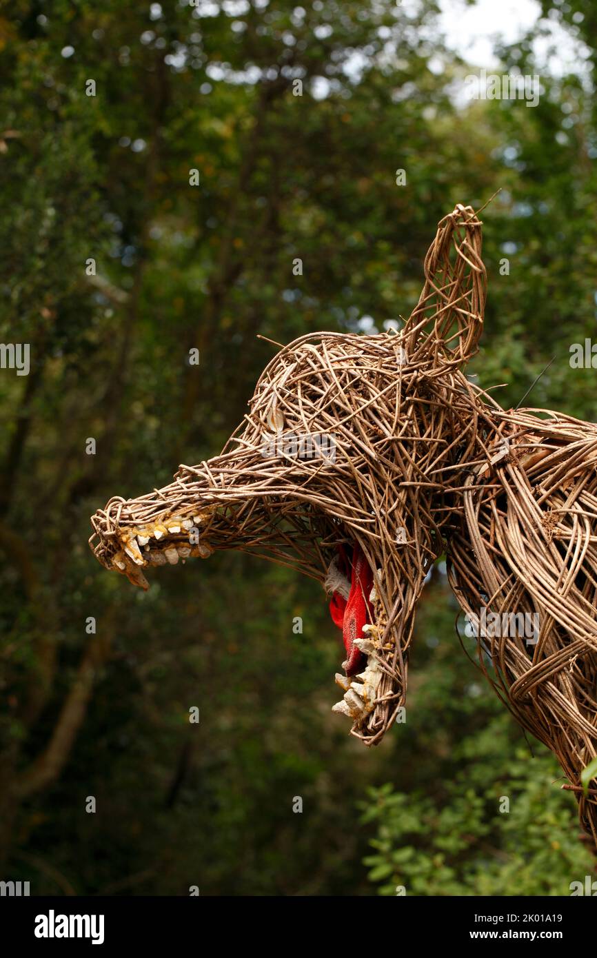 Wicker Wolf aus verdrehten Weidenstreifen gefertigt. Märchen. Was für große Zähne.....Abbotsbury subtropische Gärten Stockfoto