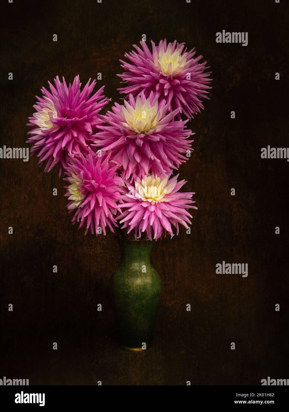 Rosafarbene, selbst gewachsene Dahlien, Stillleben in der Vase. Stockfoto