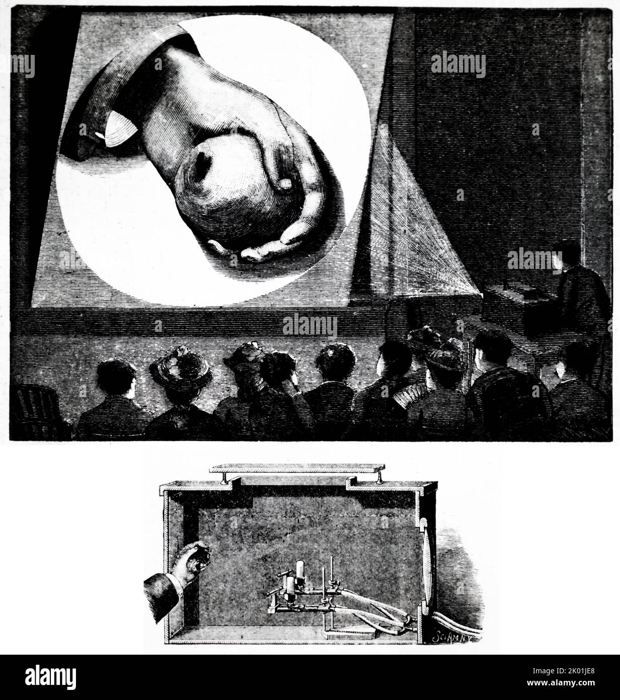 Geboxtes Megaskop, das zum Projekieren undurchsichtiger Objekte verwendet wird (Apfel in Demonstratorhand). Von La Science Illustree, Paris, 1891. Stockfoto