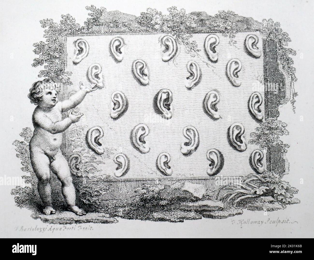 Variationen des Außenohrs. Aus JC Lavater Essays in Physiognomie, London, 1789-98. Stockfoto