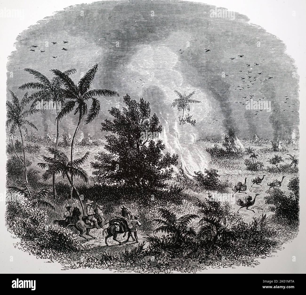 Feuer in den südlichen brasilianischen campos. London, c1890. Stockfoto