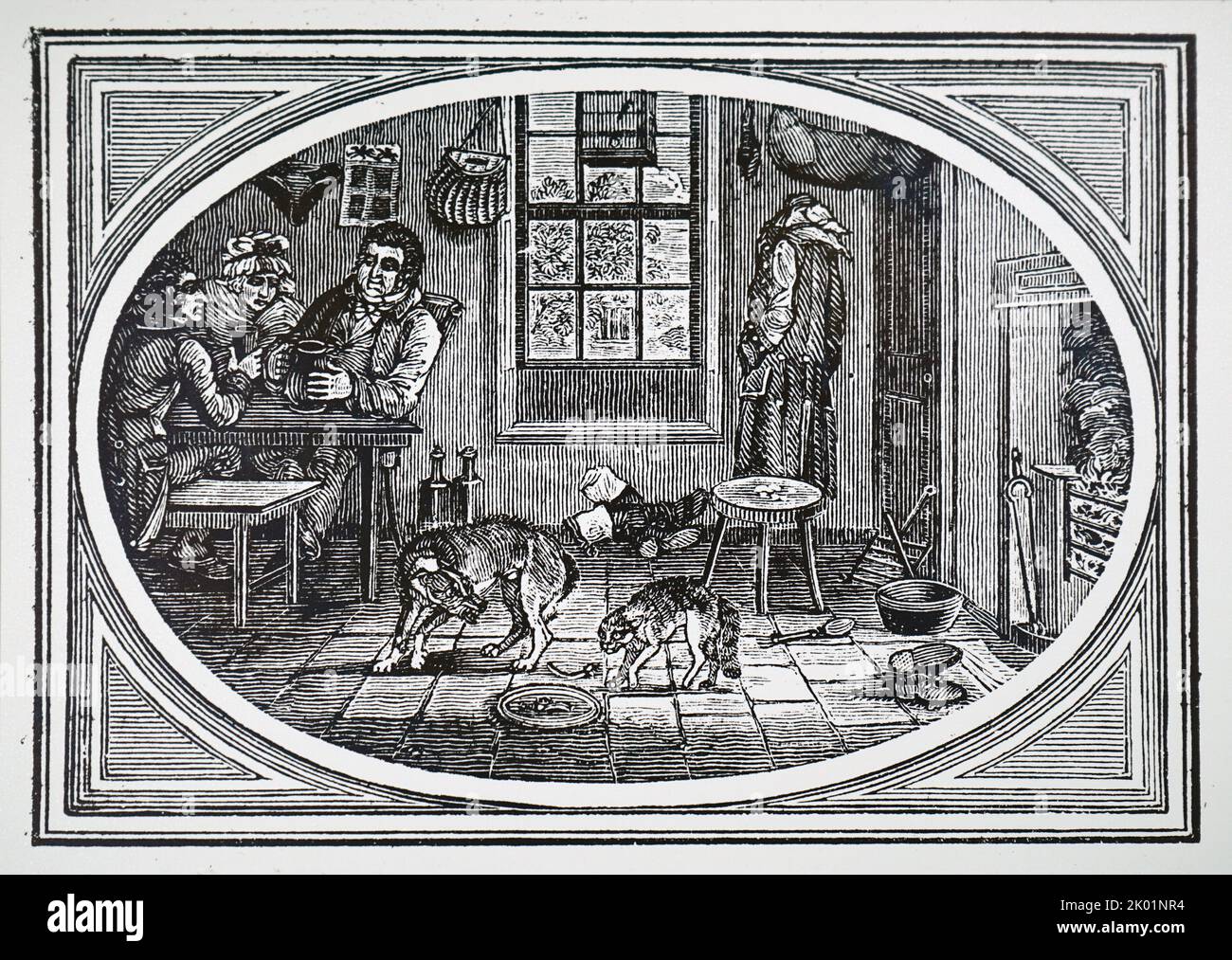 Katzen- und Hundefetzen über Fetzen. Stockfoto