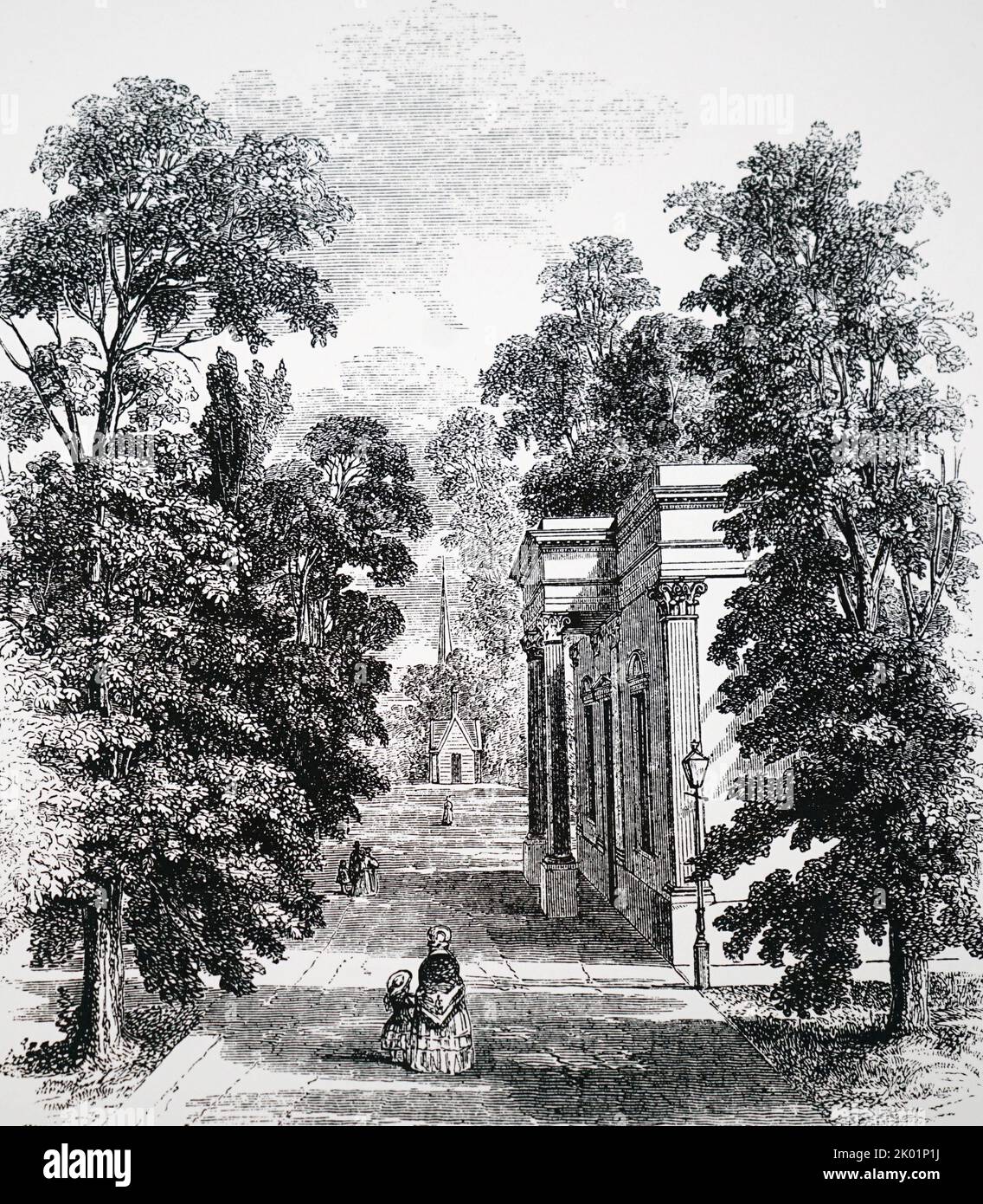 Royal Old Well Walk, Cheltenham. Diese Ulmenallee wurde 1739 gepflanzt. Stockfoto