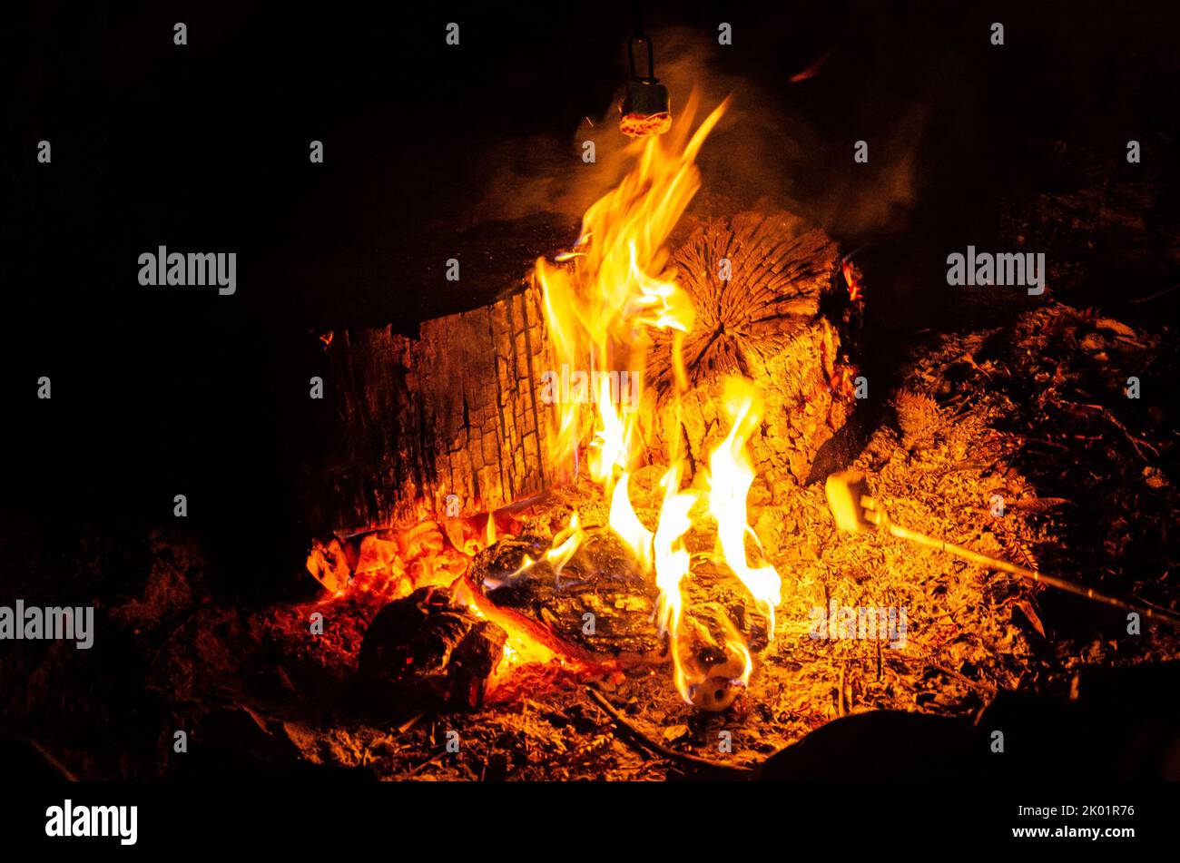 Brennende Holzstämme in einem Lagerfeuer in einer Feuerstelle. Stockfoto