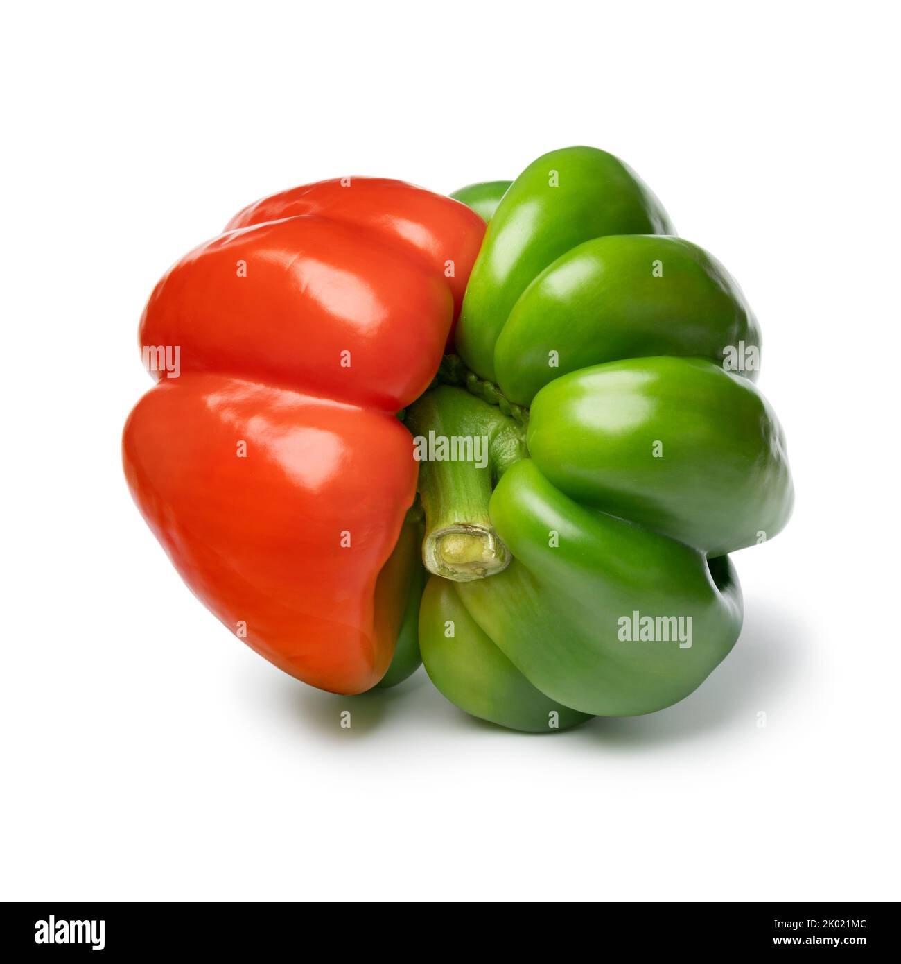 Einzelne deformierte frische rote und grüne Paprika, verbundene Zwillinge, Nahaufnahme isoliert auf weißem Hintergrund Stockfoto