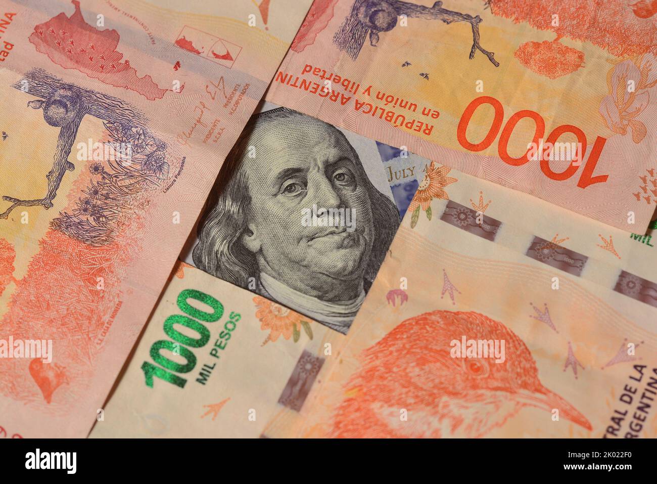 US-Dollar-Bill.Argentinien Stockfoto