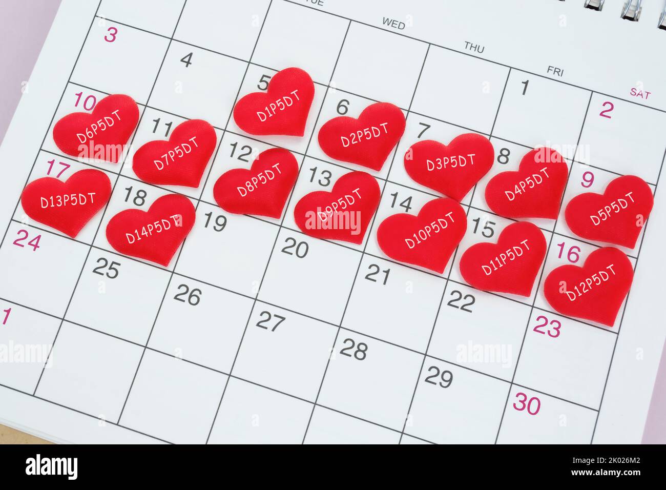 Text auf roter Herzform im Kalender. IVF Embryotransfer Tag 5. Stockfoto