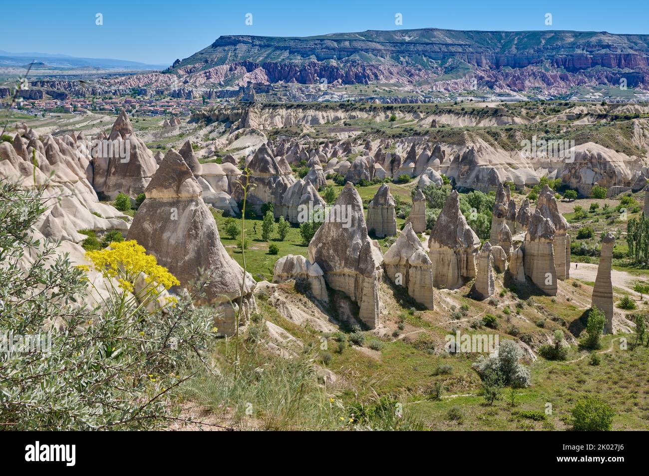 Landschaft mit wilden Blumen des Liebestales in der Nähe von Göreme, Kappadokien, Anatolien, Türkei Stockfoto