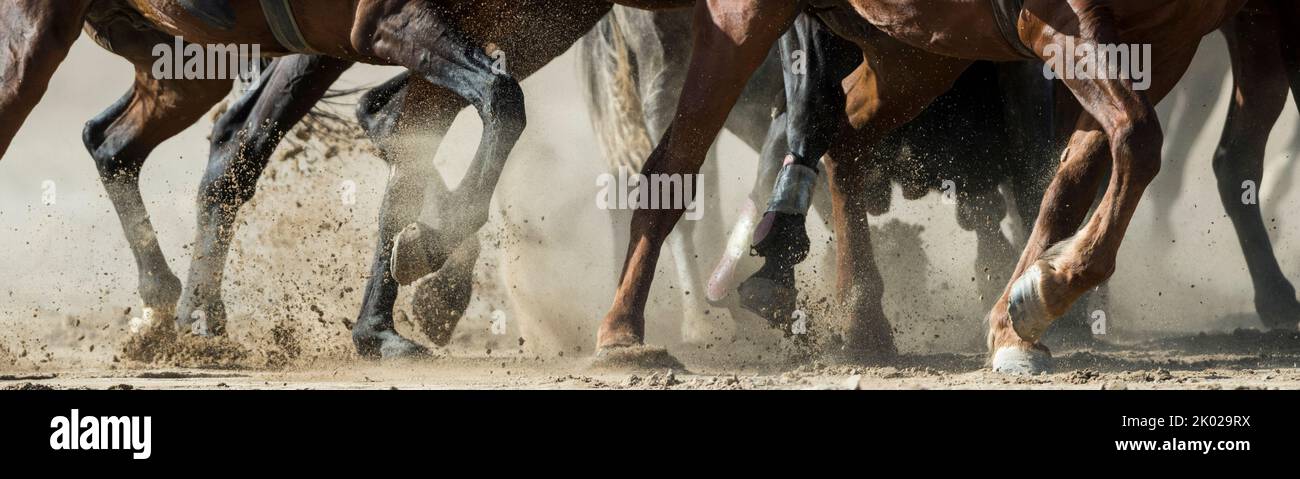 Detail der Pferde die Beine durcheinander während eines Kok-Boru-Spiels bei den World Nomad Games 2018 in Kirgisistan. Stockfoto